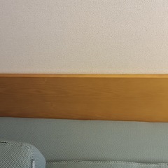 コアラソファ チラックス フォレストグリーン、2人掛け、さよならセール/Koala Sofa Chillax Forest Green, double seater, sayonara saleの画像