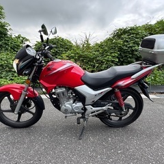 ☆即ノリ☆HONDA CBF125 愛知県一宮市の画像