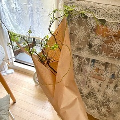 ニトリ　ラック2個の画像