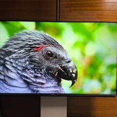 テレビとテレビ台セットの画像