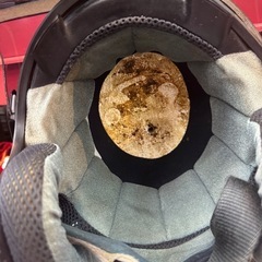 ヴィンテージ 赤 ワインカラー の画像