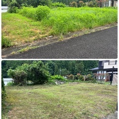 草刈り草むしり✨9/11.12✨現金支払いの画像