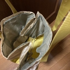 エコバッグ　レジカゴ対応の画像