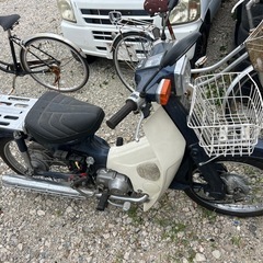 カブの画像
