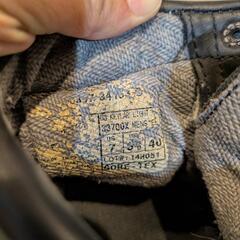 danner ケブラーライト US7の画像