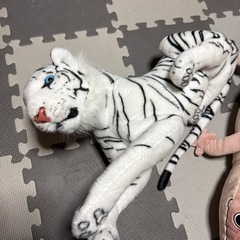 ぬいぐるみ 3点 中サイズの画像