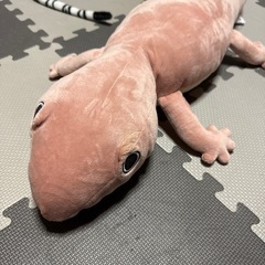 ぬいぐるみ 3点 中サイズの画像