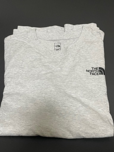 THE NORTH FACE ザノースフェイス 半袖 Tシャツ DAILY LOGO S/S TEE ストーングレー M