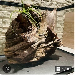 流木NO8［値段交渉受付します］の画像