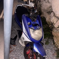 シグナス X 1型 台湾 不動の画像