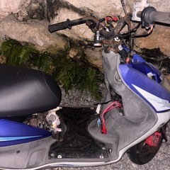 シグナス X 1型 台湾 不動の画像