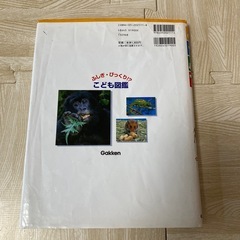 ふしぎ・びっくり!?  こども図鑑　どうぶつ　人気の画像