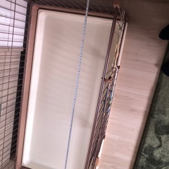 【未使用品】ペットゲージ Lサイズ  ✨美品✨の画像