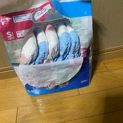 小型犬オムツS✨女の子男の子共用の画像