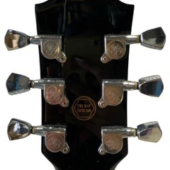GYPSY ROSE ジプシーローズ エレキギター レスポールタイプ ソフトケース付きの画像