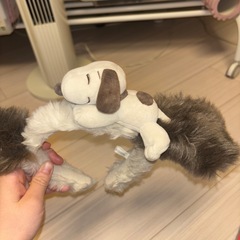 ユニバスヌーピー カチューシャの画像
