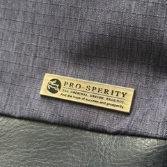 PRO-SPERITY リュックサックの画像