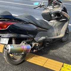 フォルツァの画像