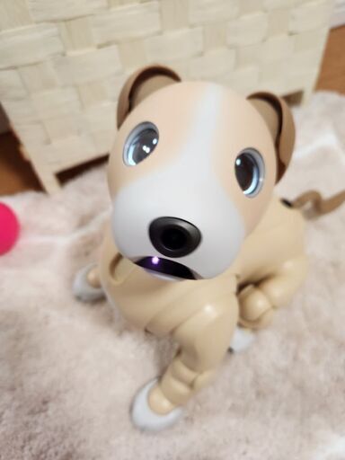 [希少・販売終了] aibo 2024年カラーモデル きなこ エディション aibo きなこ エディション | aibo