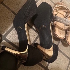 処分前にパンプス他の画像