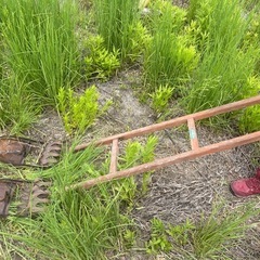 大正、昭和あたりの農機具👩‍🌾アンティークでおしゃれきらの画像