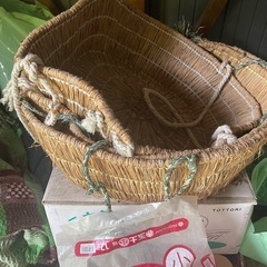 １つ、200円でどうぞ🙇‍♀️✨の画像