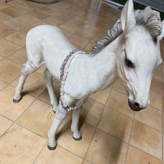 白い馬の画像