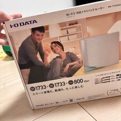 Io data WiFi5の画像