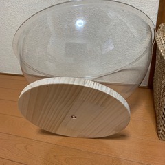 透明猫ハウスの画像