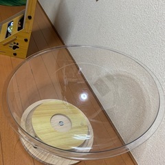 透明猫ハウスの画像