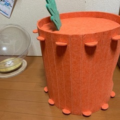 猫ちゃんペットハウスの画像