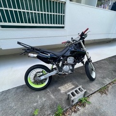 Dトラッカー250の画像