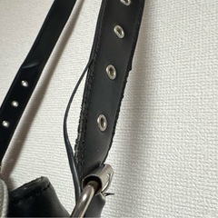 ショルダーバッグ レザー 長財布も入ります！の画像