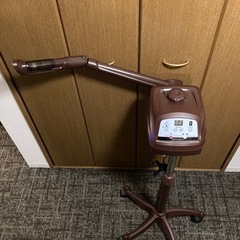 SEVEN BEAUTY オゾンフェイシャルスチーマー FS300の画像