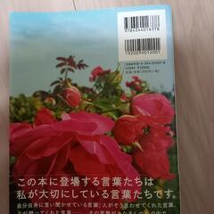 ベッキーの本の画像