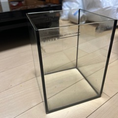 ガラス水槽の画像