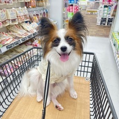 犬友募集🎶