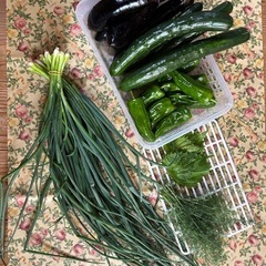 お野菜🥬🧅🥕🥔🥦︎作りませんか(貸し農園)の画像