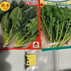 お野菜🥬🧅🥕🥔🥦︎作りませんか(貸し農園)の画像