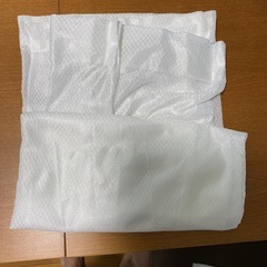 淡い緑色カーテン➕レースカーテンの画像