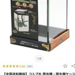 爬虫類用ゲージの画像