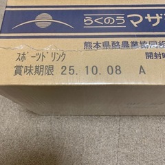 らくのうマザーズ　スポーツドリンク　紙パック　250ｍｌ×24本〔スポドリ スポーツドリンク スポーツ飲料〕の画像