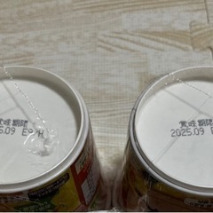 ２個　ピジョン「ぷちキッズごはん」 　カレー2個の画像