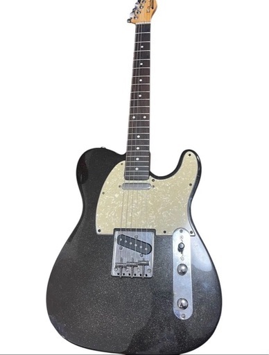 スパークル 廃盤品 初期ロゴ Bacchus BTE-330R Universal series テレキャスター　カバー付き