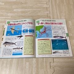 ふしぎ！なぜ？大図鑑　昆虫・動物・魚・鳥・植物の学習百科　人気の画像