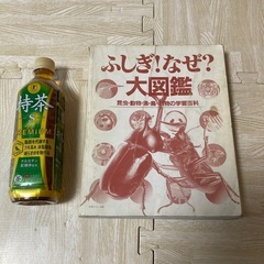 ふしぎ！なぜ？大図鑑　昆虫・動物・魚・鳥・植物の学習百科　人気の画像