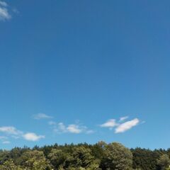 全国系LINEオプチャ　福島県メンバー募集中