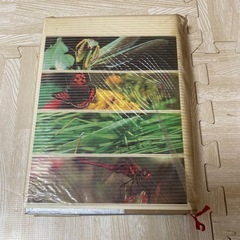 原色昆虫図鑑　日本百科大事典別冊　小学館　希少の画像