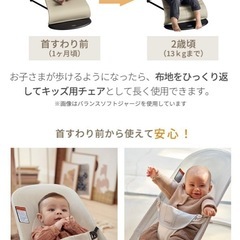 ベビービョルン　バウンサー　メッシュの画像