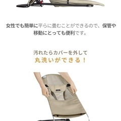 ベビービョルン　バウンサー　メッシュの画像